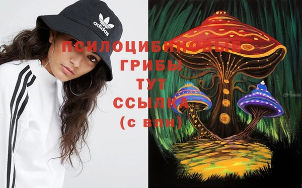 дмт Новодвинск