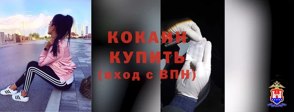 дмт Новодвинск