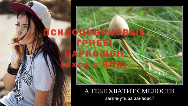 герыч Новозыбков