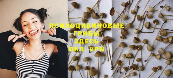 мяу мяу мука Нефтекумск