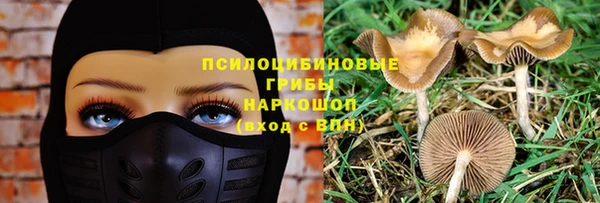 герыч Новозыбков